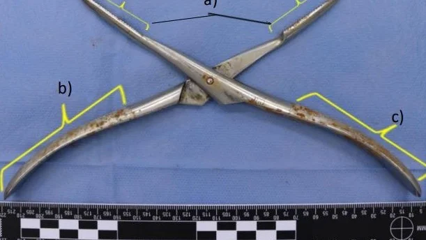 Tången som ska ha använts för att dra ut tre framtänder under den grymma misshandeln.