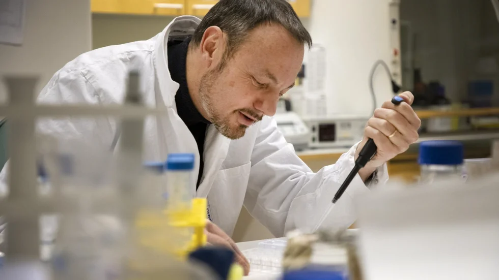 Niklas Arnberg, virolog vid Umeå universitet.