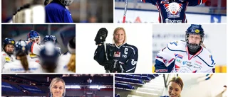 Här är LHC:s bästa spelare genom tiderna – plats 11-25