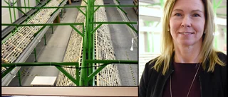 Över 50 personer jobbar med Copperstones ansökan • Tusentals sidor skrivs • "Osäkerheten finns alltid"