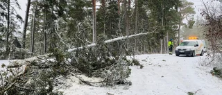 Fortfarande strömlösa hushåll på Gotland