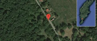 Fallna träd skapar problem i trafiken på väg 504