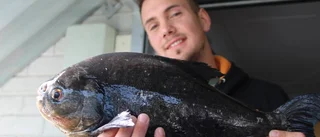 De fångade udda fisken – igen
