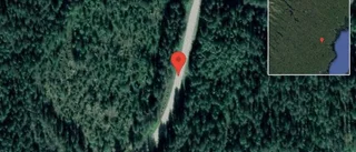 Trafikolycka på väg 919