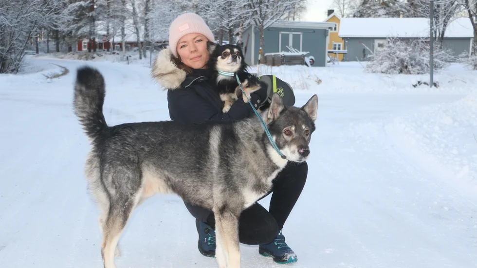 Anna Edeblom har svårt att förstå hur någon kan gräva ner ett knivblad. Om någon av hundarna trampat på bladet hade det kunnat sluta mycket illa.
