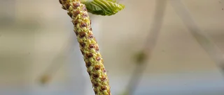 Stor satsning på natur och friluftsliv i Västerbotten