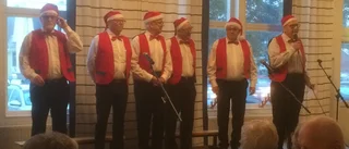 PRO-tomtar kokade gröten i Robertsfors