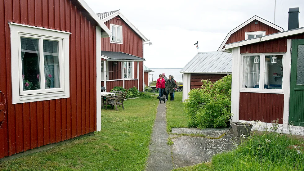 LIV PÅ PITE-RÖNNSKÄR. Pite-Rönnskär har nu fått eget sommarkafé. Foto: Annika Eriksson.