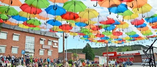 Årets Malåbo utsedd