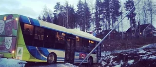 Buss i diket