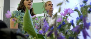 Det stora slaget om miljöpartisterna