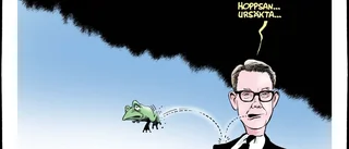 Hoppsan, hoppsan …