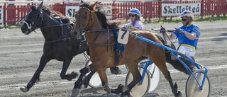 Felaktigt resultat på Skelleftetravet