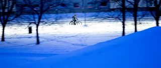 Linköping är bäst i världen på vintercykling
