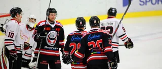 Tillbaka i Hockeyettan efter nio år: "Gruppen var enig"