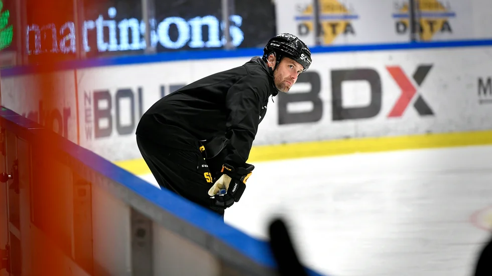 Stefan Hedlund.