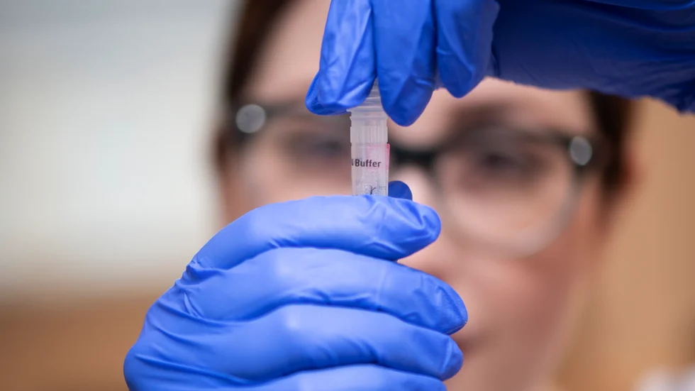 Laboratorieanalys av test för covid-19. Arkivbild