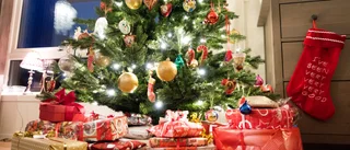 M tog fram krisstöd när regeringen hade jullov