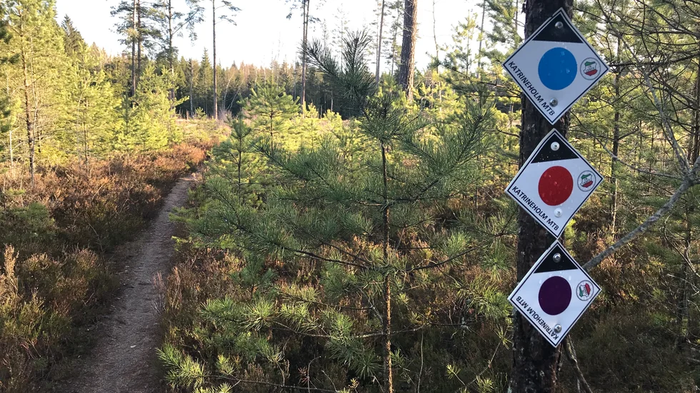 Signaturen "Mtb-tjejen" menar att alla får plats i skogen.
