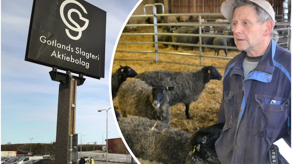 Curre Niklasson, ordförande i föreningen Ekolamm, menar att Krav-uppfödning måste få ge ett högre pris till leverantörerna.