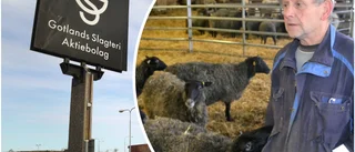 Lammbönder ratar Gotlands Slagteri - "Nått vägs ände"