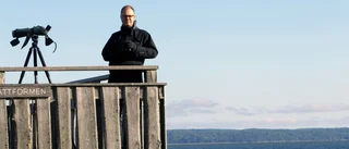 Trist trend för sällsynt fågel: "Något måste göras"