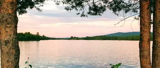 Läsarbilden                   