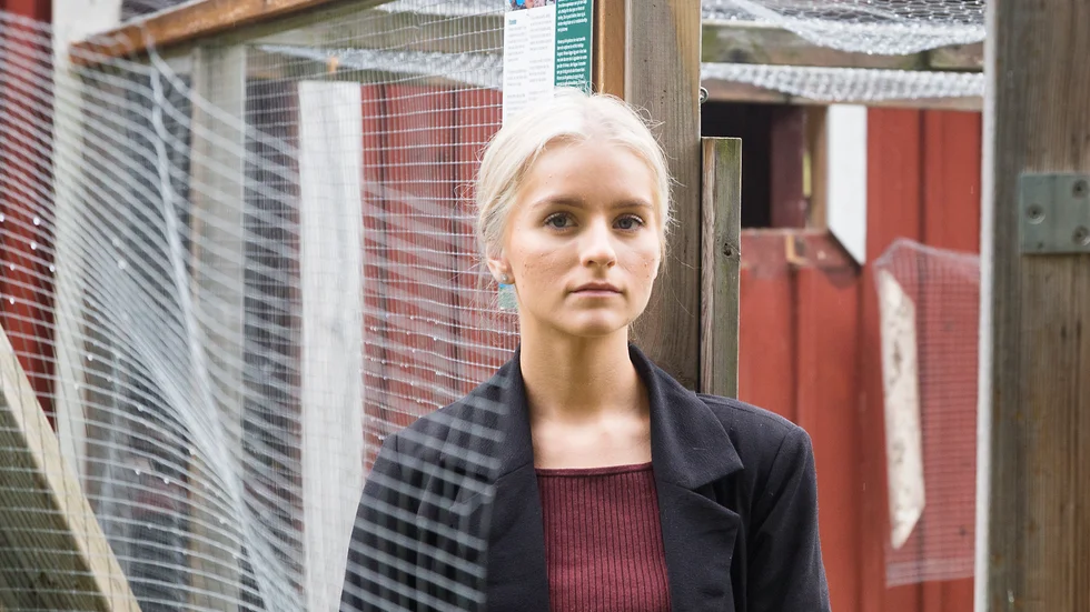 Efter bara en vecka möttes Elin Sotkasiira återigen av skadegörelse när hon kom till 4H-gården vid Djulö. 