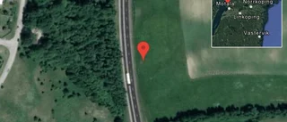 Hästar på vägen