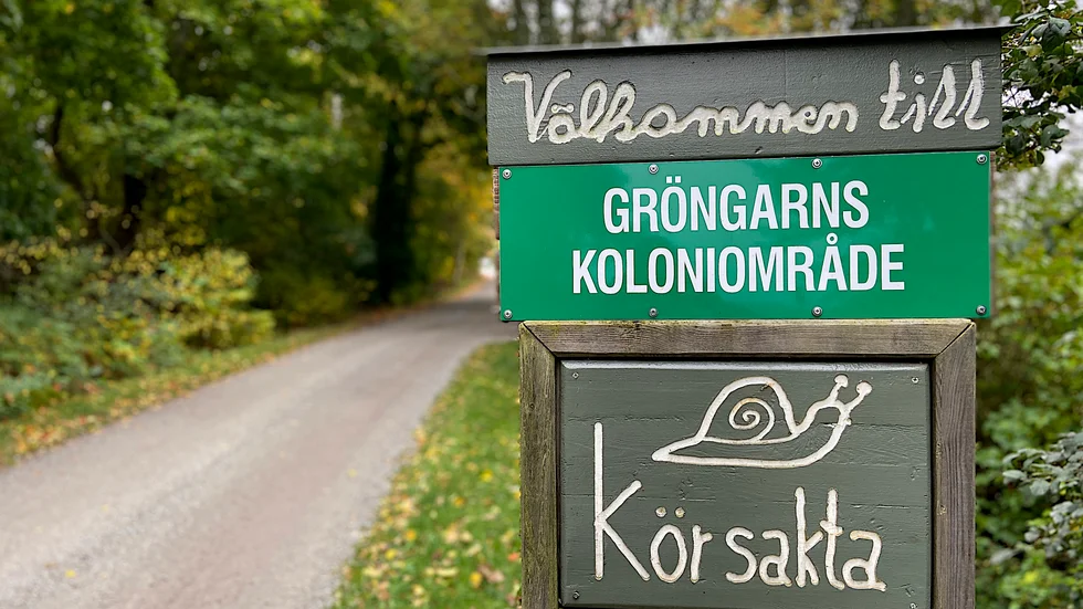 En kvinna utsattes för sexuellt ofredande på Gröngarns koloniområde.