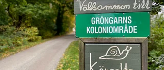 Blottare visade rumpan vid kolonilotter