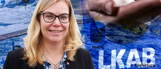 Så ska Luleå vinna dragkampen om nya industriparken: "Otroligt spännande"