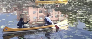 Kommunen, ta tag i skötseln av Eskilstunaån!   