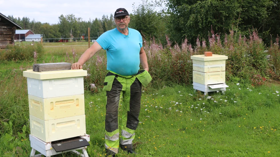 Biodlaren Thorbjörn Larsson i Tullnäs har för andra gången haft motorförsedda skärmflygare, så kallade paramotorflygare, som flugit över gården och skapat oro i bikuporna. "Det finns ingen anledning för dem att flyga över gården".