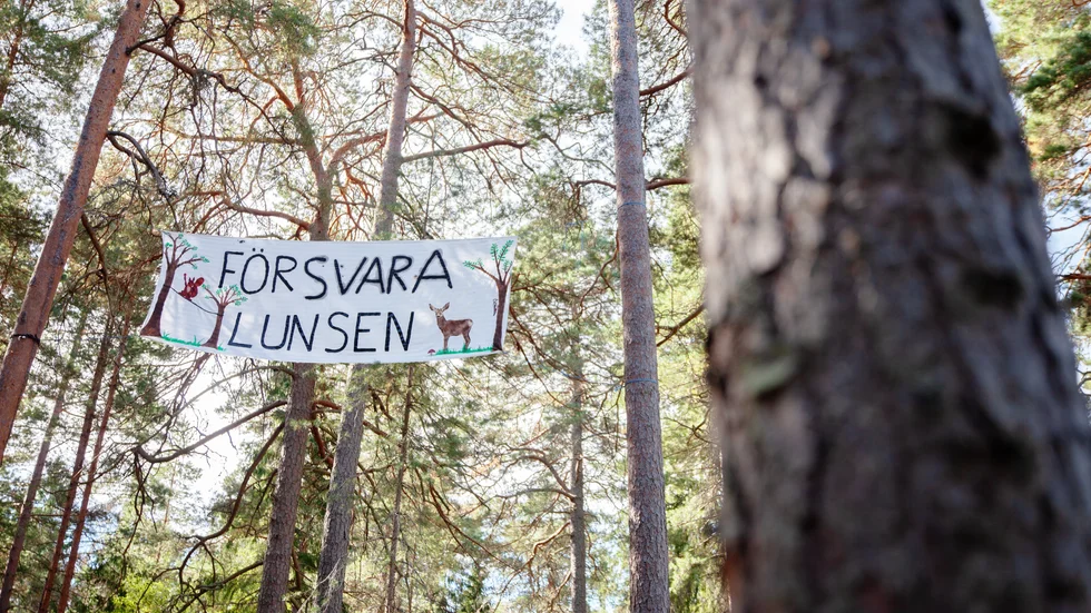 Några som protesterar mot byggplanerna har hängt upp en banderoll i skogen bakom Stordammens skola.