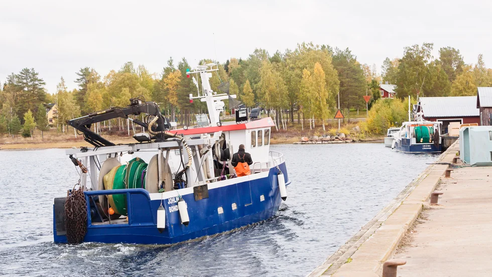 Kalix skärgård är ett av många områden i landet som har problem med olagligt nätfiske. Det skapar problem för fisken och för alla som följer reglerna.