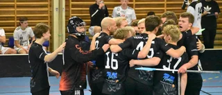 VIBK-tränaren: "Fantastiskt viktigt för framtiden"