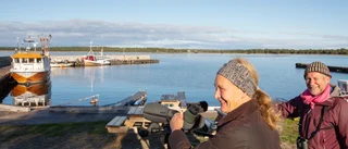Global fågelhelg mot illegal djurhandel