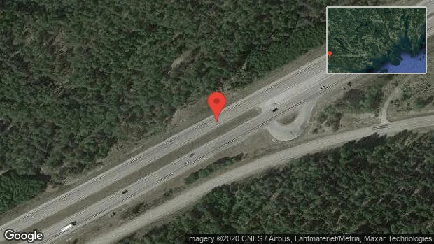 Rådjur på vägen på E4