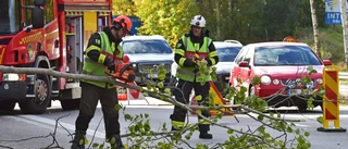 Träd har fallit på E4 i höjd med Nyköping