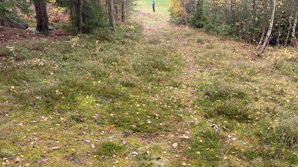 I Kinda kommun finns det tre elljusspår som kommunen hyr. Det finns ett i Horn, ett i Kisa och ett i Rimforsa.