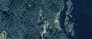 Ägarbyte för stuga i Bruzaholm