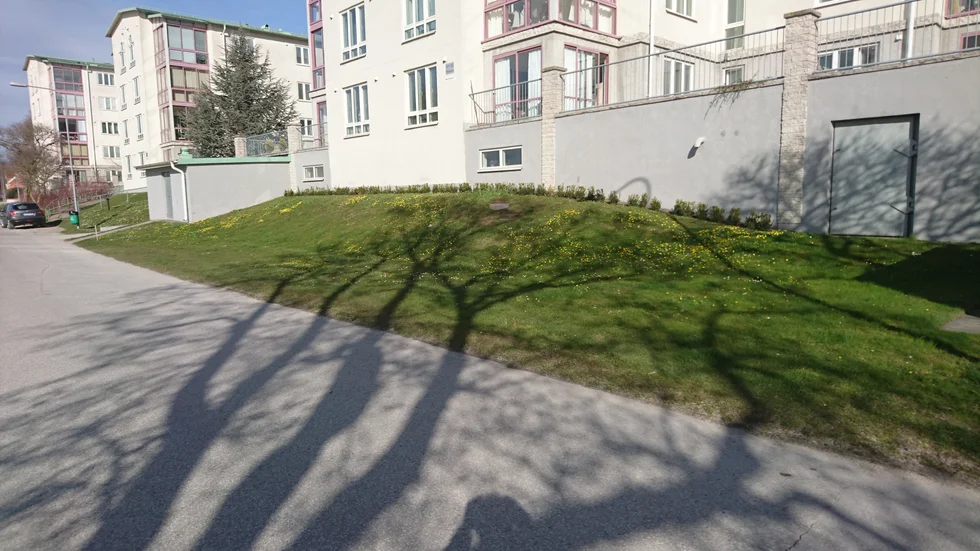 Så här såg platsen ut innan parkeringen anlades.