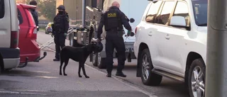 TV: Bombhundar söker av platsen