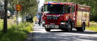 Man väjde för katt – körde in i träd
