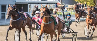 Visby travfest och V86 – med tolv miljoner i jackpot • Lockar världseliten till Gotland • ”Så nära V75 man kan komma”