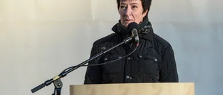 Mona Sahlin summerar sitt politiska liv