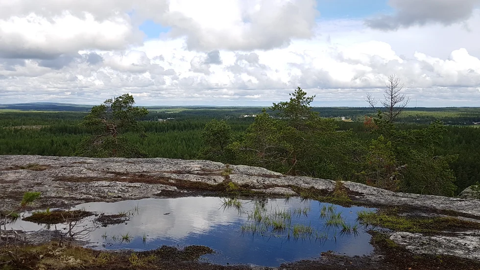 Fin vy. Utsikt från Högberget i Jävre efter regnet.

