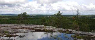 Bildextra: Läsarnas sommarbilder andas höst