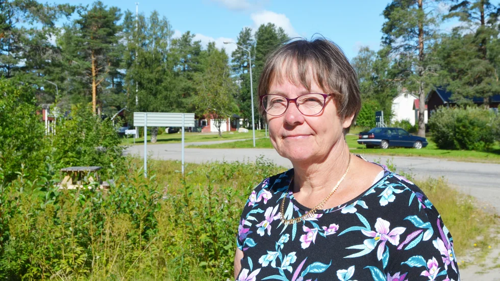 Britt-Inger Nyström är ordförande i Ljusvattnets byaförening. ”För många kör i en för hög hastighet”, säger hon.
